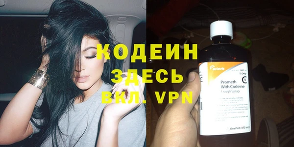 гидра Абаза