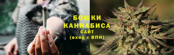 гидра Абаза