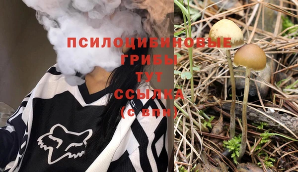 гидра Абаза