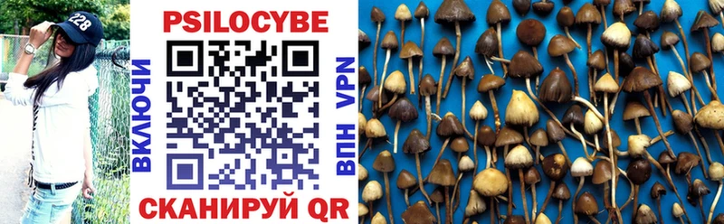 нарко площадка как зайти Лосино-Петровский Псилоцибиновые грибы MAGIC MUSHROOMS